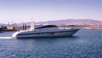 Sea lion II -  Side view